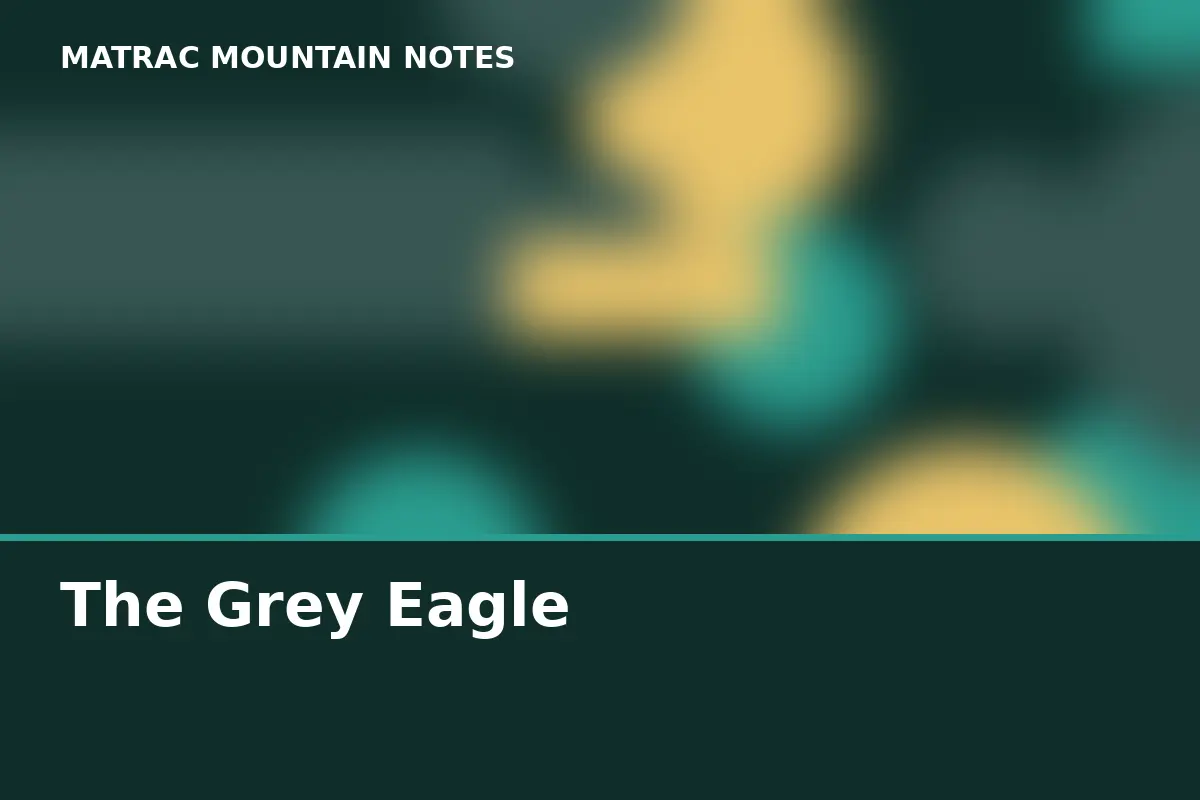 The Grey Eagle